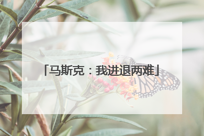 马斯克：我进退两难