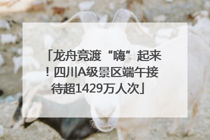龙舟竞渡“嗨”起来！四川A级景区端午接待超1429万人次