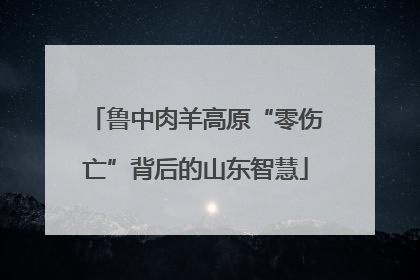 鲁中肉羊高原“零伤亡”背后的山东智慧
