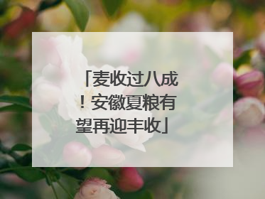 麦收过八成！安徽夏粮有望再迎丰收