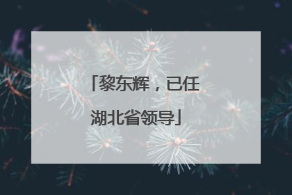 黎东辉，已任湖北省领导