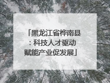 黑龙江省桦南县：科技人才驱动 赋能产业促发展