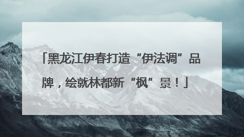 黑龙江伊春打造“伊法调”品牌，绘就林都新“枫”景！