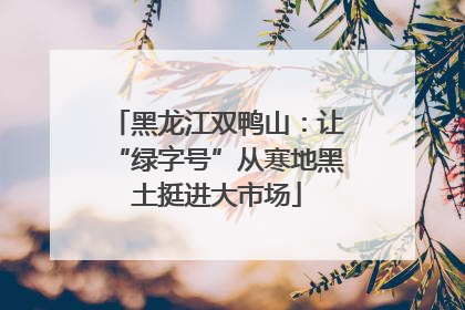 黑龙江双鸭山：让“绿字号”从寒地黑土挺进大市场