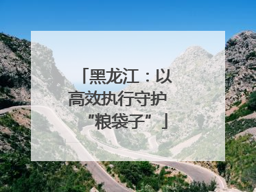黑龙江：以高效执行守护“粮袋子”