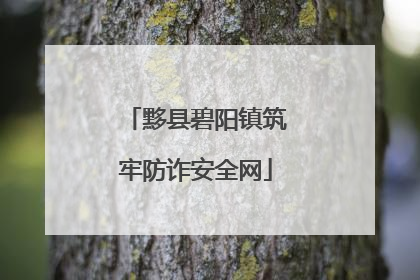 黟县碧阳镇筑牢防诈安全网
