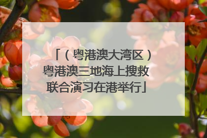 （粤港澳大湾区）粤港澳三地海上搜救联合演习在港举行