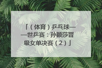 （体育）乒乓球——世乒赛：孙颖莎晋级女单决赛（2）