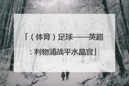 （体育）足球——英超：利物浦战平水晶宫
