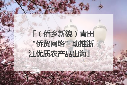 （侨乡新貌）青田“侨贸网络”助推浙江优质农产品出海