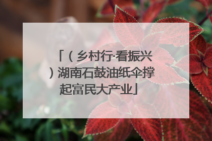 （乡村行·看振兴）湖南石鼓油纸伞撑起富民大产业