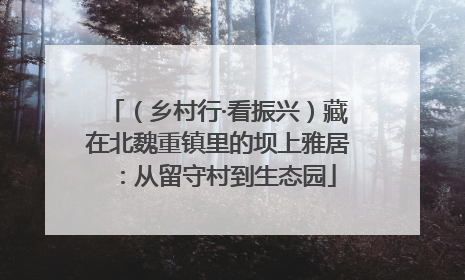 （乡村行·看振兴）藏在北魏重镇里的坝上雅居：从留守村到生态园