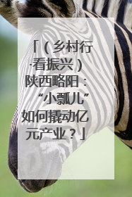 （乡村行·看振兴）陕西略阳：“小瓢儿”如何撬动亿元产业？
