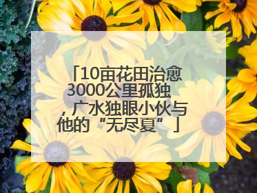 10亩花田治愈3000公里孤独，广水独眼小伙与他的“无尽夏”