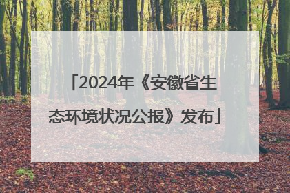 2024年《安徽省生态环境状况公报》发布