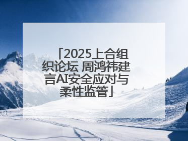 2025上合组织论坛 周鸿祎建言AI安全应对与柔性监管