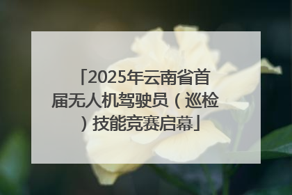 2025年云南省首届无人机驾驶员（巡检）技能竞赛启幕