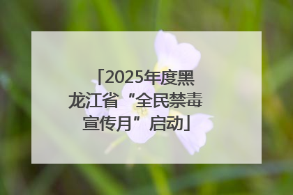 2025年度黑龙江省“全民禁毒宣传月”启动