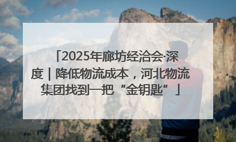 2025年廊坊经洽会·深度｜降低物流成本，河北物流集团找到一把“金钥匙”