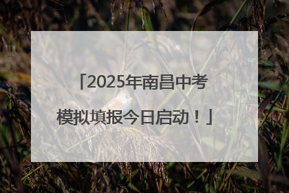 2025年南昌中考模拟填报今日启动！