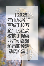 2025年山东省“百城千校万企”民企高校携手促就业行动暨潍坊市职教活动周启动