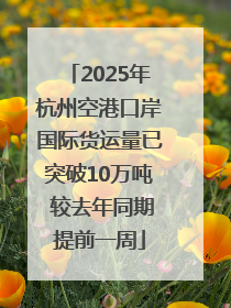 2025年杭州空港口岸国际货运量已突破10万吨 较去年同期提前一周
