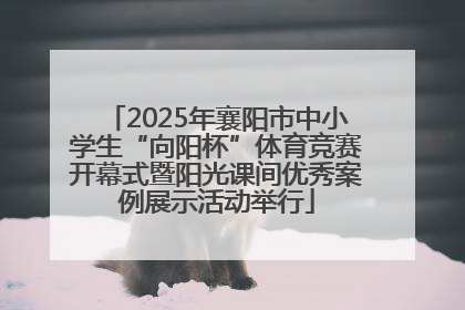 2025年襄阳市中小学生“向阳杯”体育竞赛开幕式暨阳光课间优秀案例展示活动举行