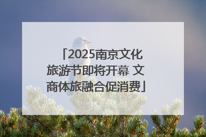 2025南京文化旅游节即将开幕 文商体旅融合促消费