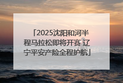 2025沈阳和河半程马拉松即将开赛 辽宁平安产险全程护航