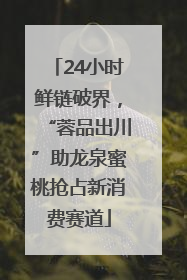 24小时鲜链破界，“蓉品出川”助龙泉蜜桃抢占新消费赛道