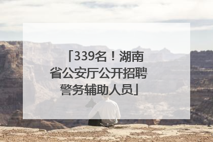339名！湖南省公安厅公开招聘警务辅助人员