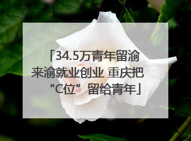 34.5万青年留渝来渝就业创业 重庆把“C位”留给青年