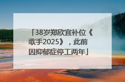 38岁郑欣宜补位《歌手2025》，此前因抑郁症停工两年