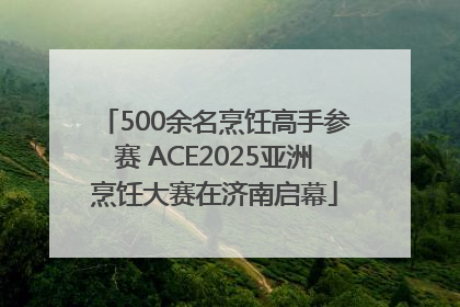 500余名烹饪高手参赛 ACE2025亚洲烹饪大赛在济南启幕