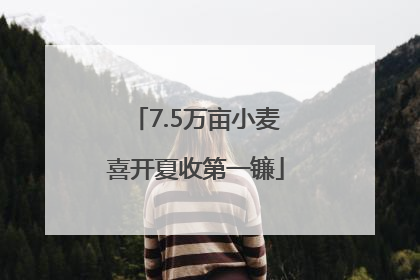 7.5万亩小麦喜开夏收第一镰