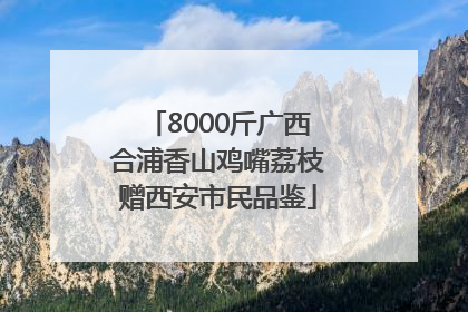 8000斤广西合浦香山鸡嘴荔枝赠西安市民品鉴