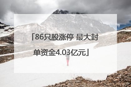86只股涨停 最大封单资金4.03亿元