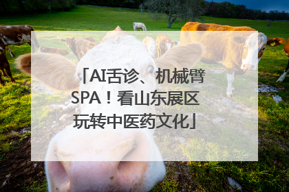 AI舌诊、机械臂SPA！看山东展区玩转中医药文化