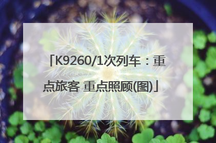 K9260/1次列车：重点旅客 重点照顾(图)