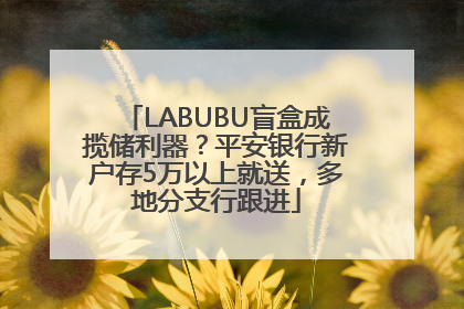 LABUBU盲盒成揽储利器？平安银行新户存5万以上就送，多地分支行跟进