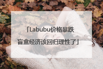 Labubu价格暴跌 盲盒经济该回归理性了