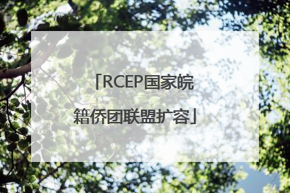 RCEP国家皖籍侨团联盟扩容
